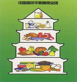 平衡膳食寶塔 構(gòu)建健康飲食的科學指南